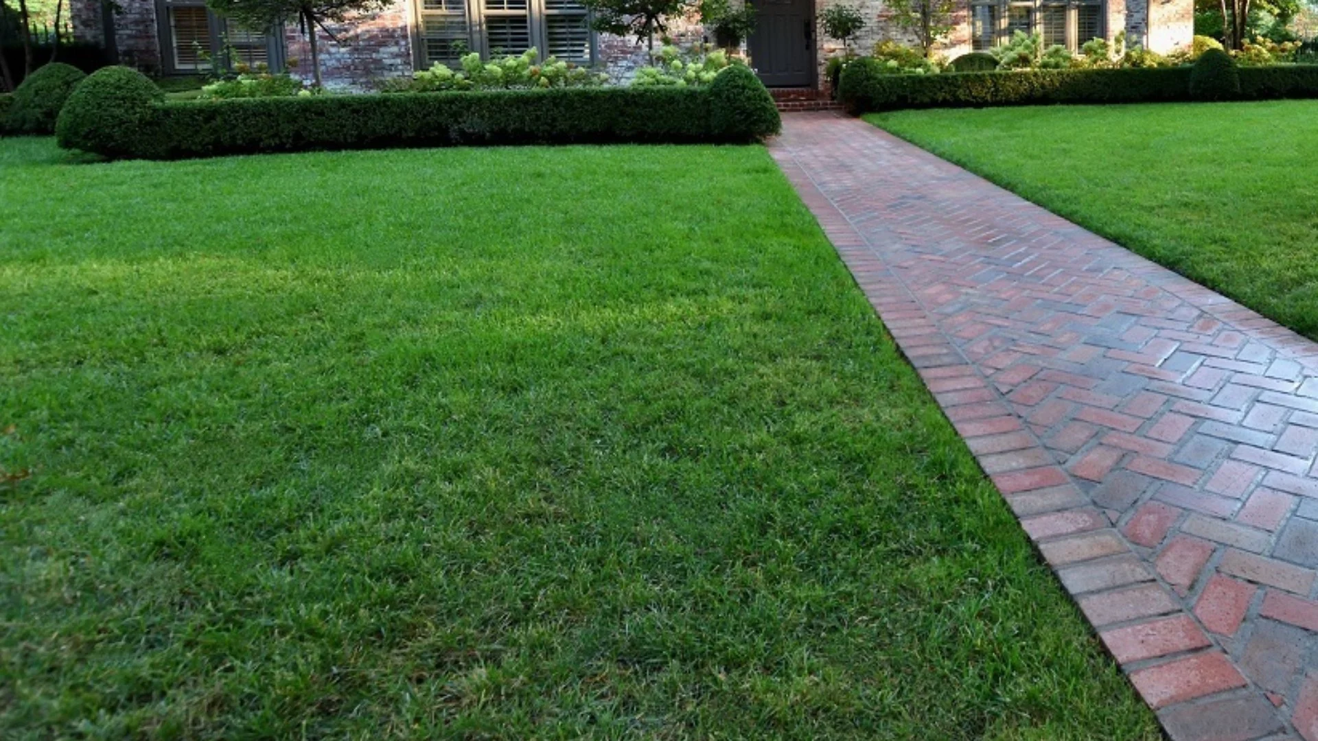 Spring Lawn Fertilization: How Many Times Should You Treat Your Grass?