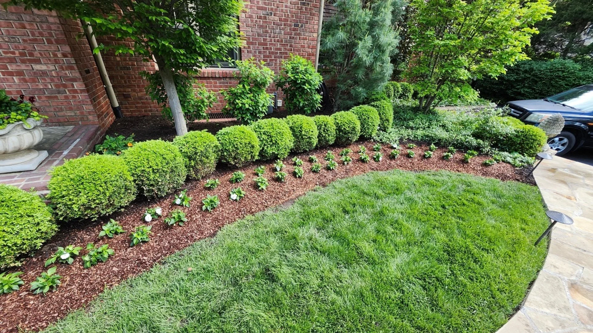 Will Mulch Reduce How Many Weeds Pop Up in Your Landscape?