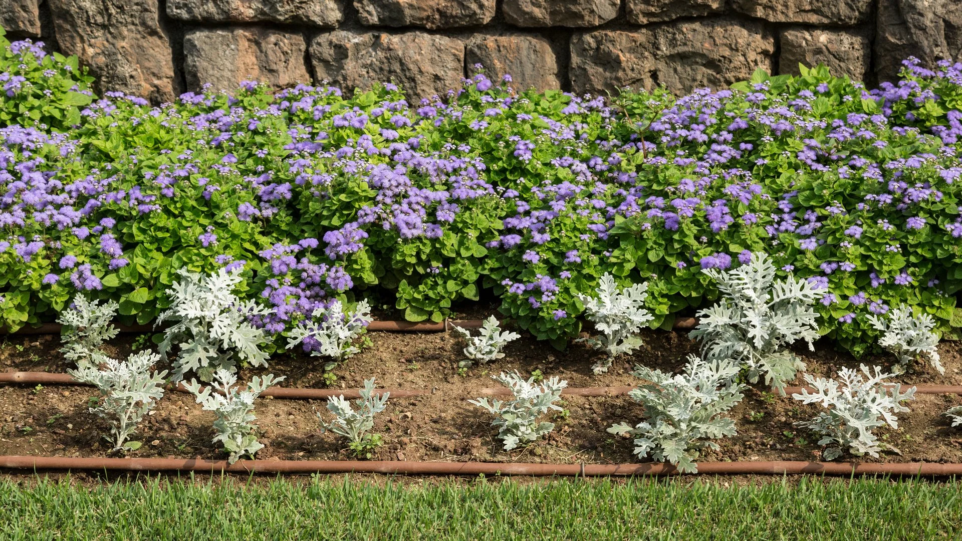 What Type of Irrigation System Is Best for Landscape Beds?