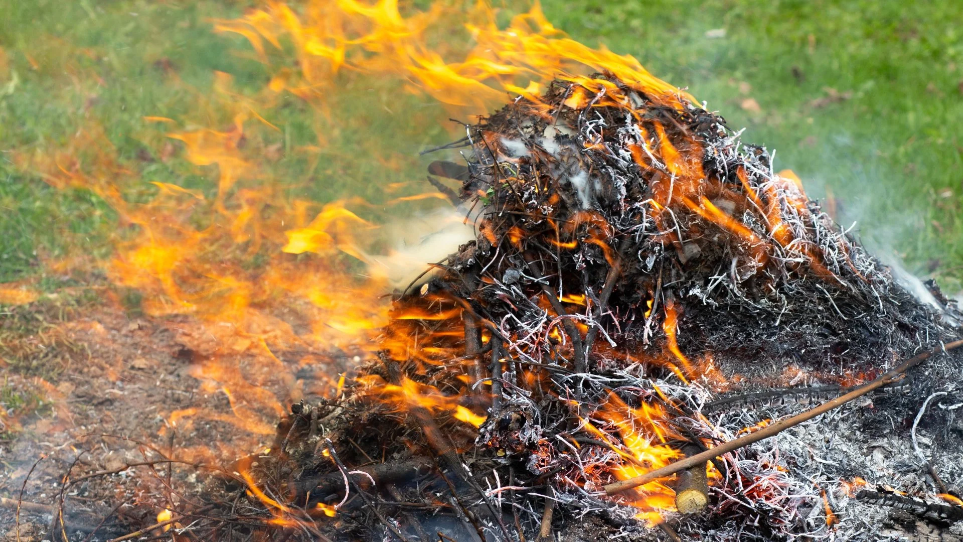 Whatever You Do, Don't Burn Your Leaf Piles!
