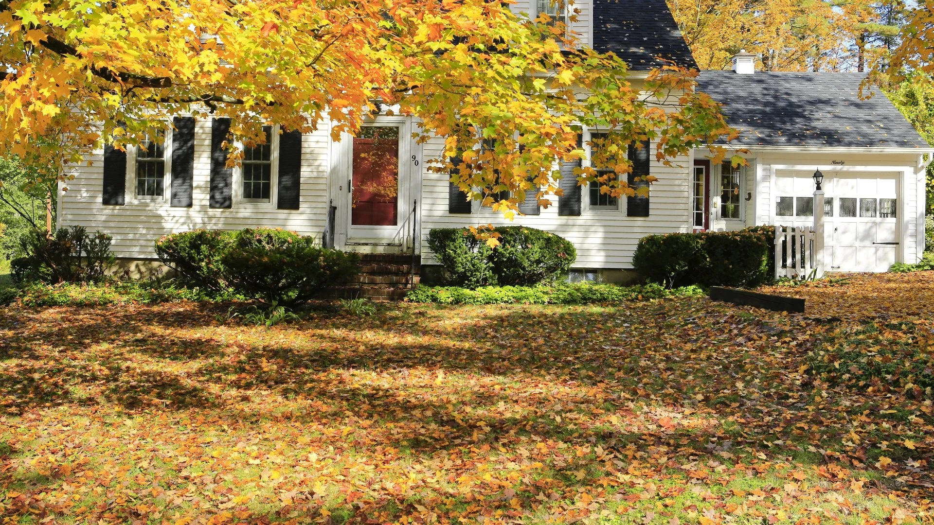 What's the Best Method for Cleaning up Leaves From Your Yard?