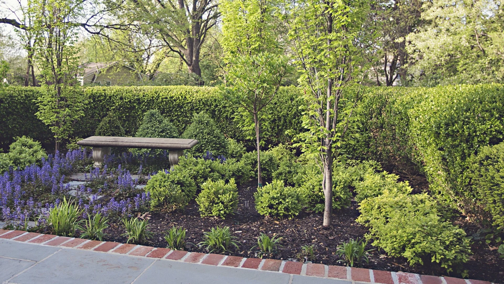 How Does Mulch Contribute to Keeping Your Plants Healthy?