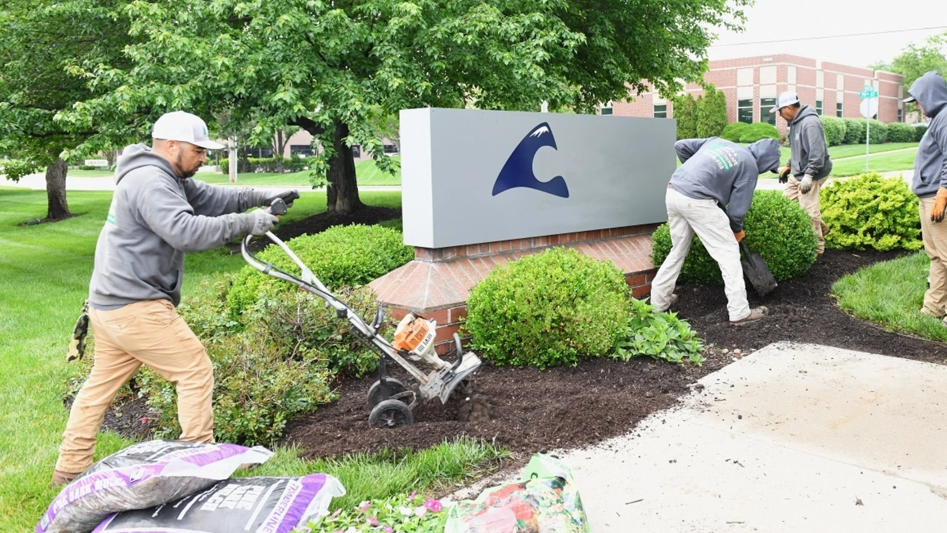 Landscaping crew planting flowers and mulching commercial property garden.