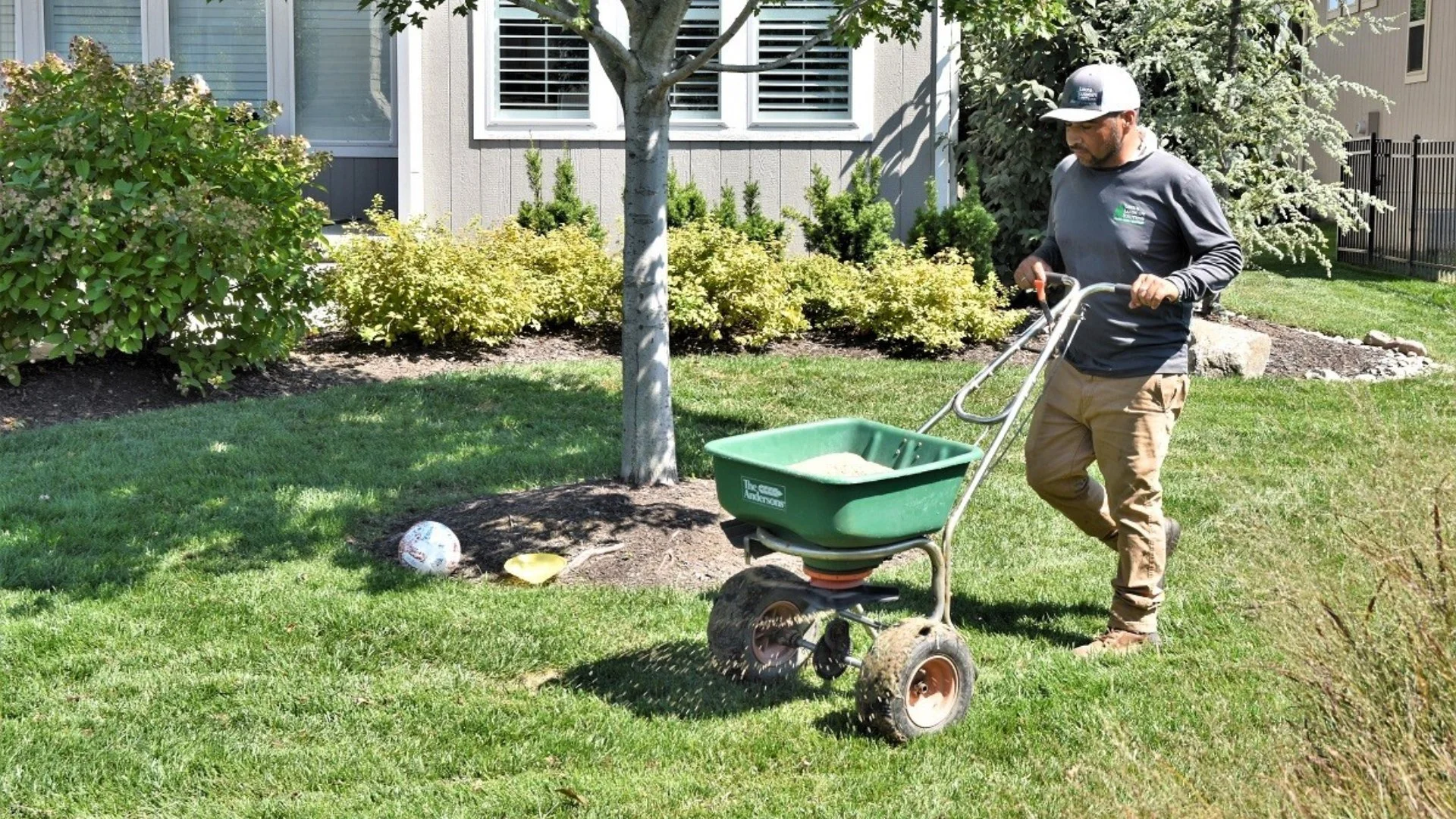 Is Fertilizing Your Lawn in the Spring Important?