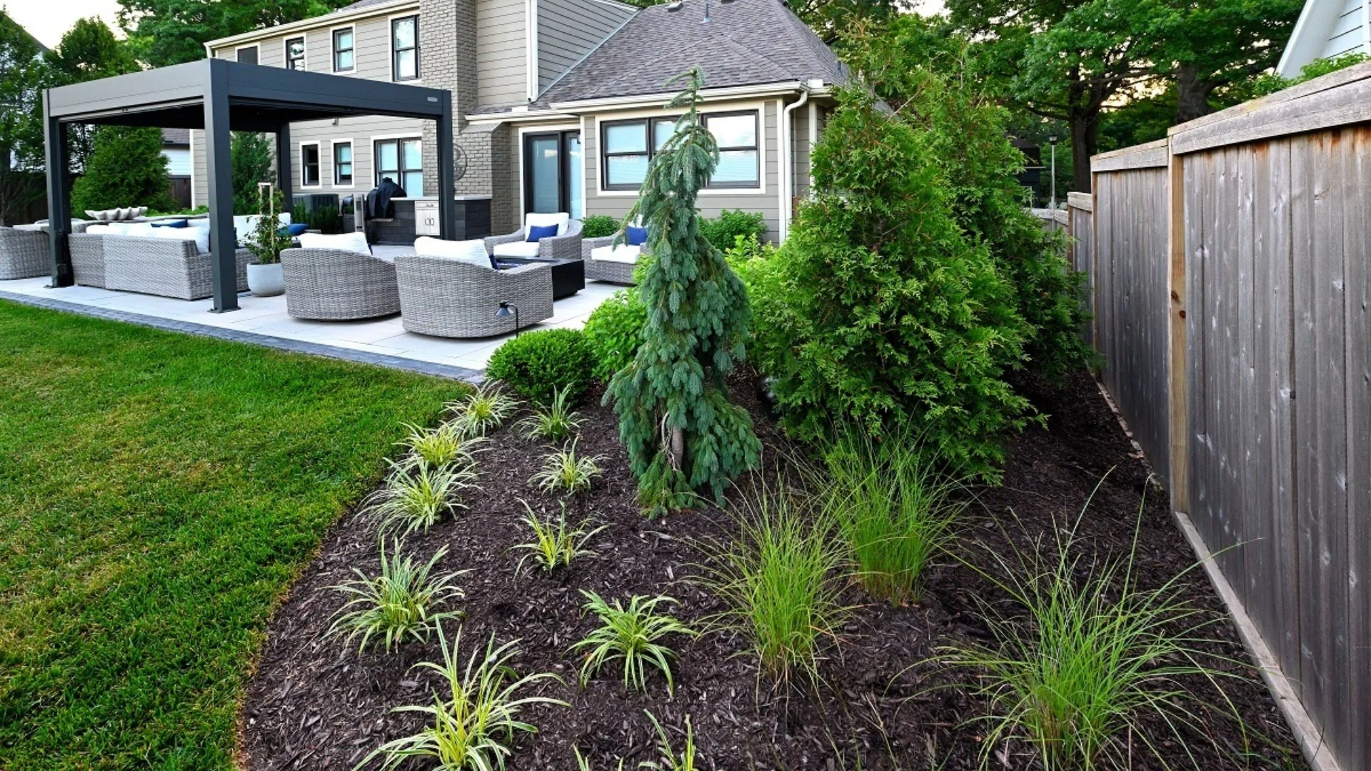 Are Native Plants Best for Your Landscape?