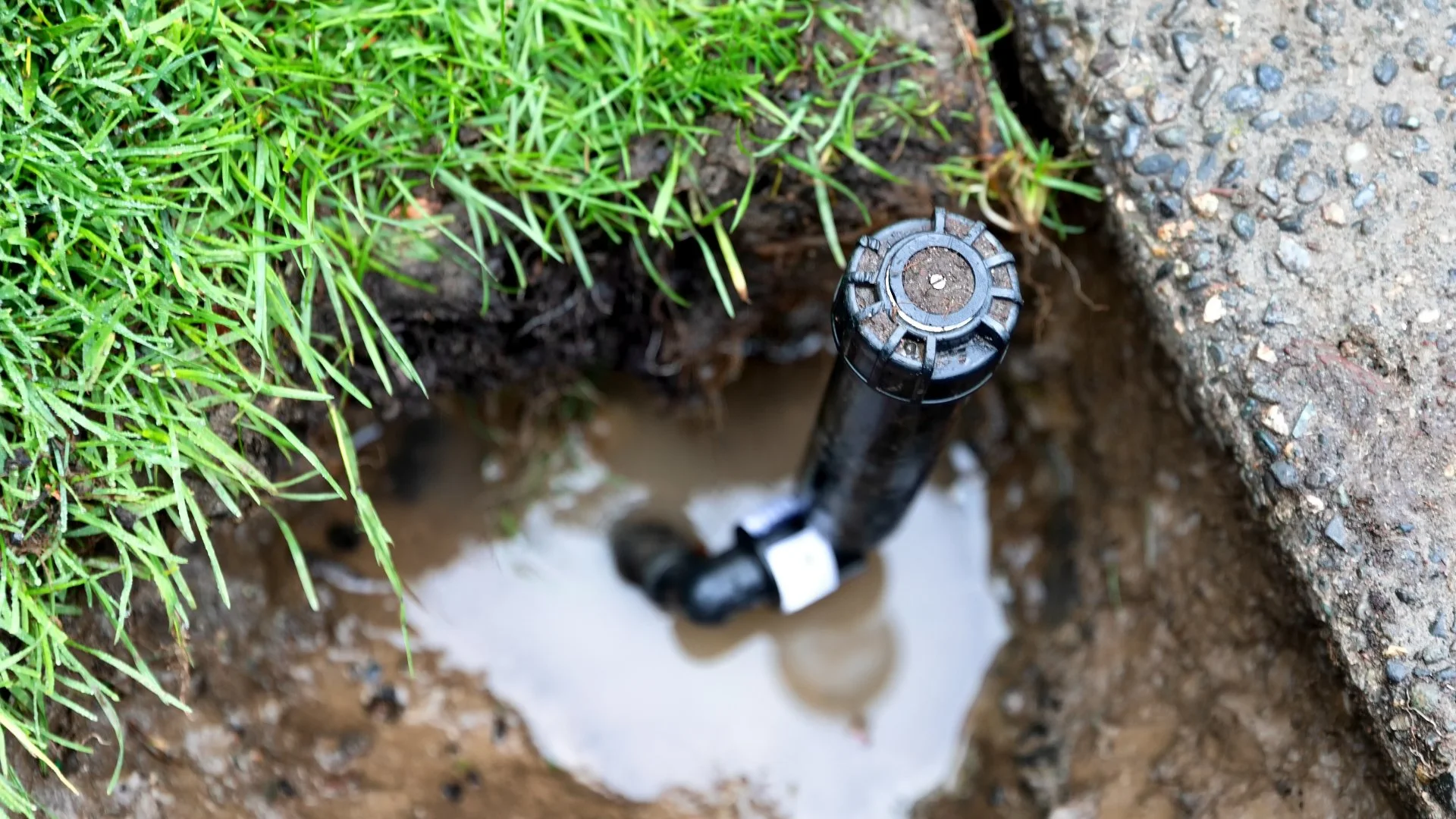Keep a Lookout for Signs That Indicate an Irrigation System Leak!