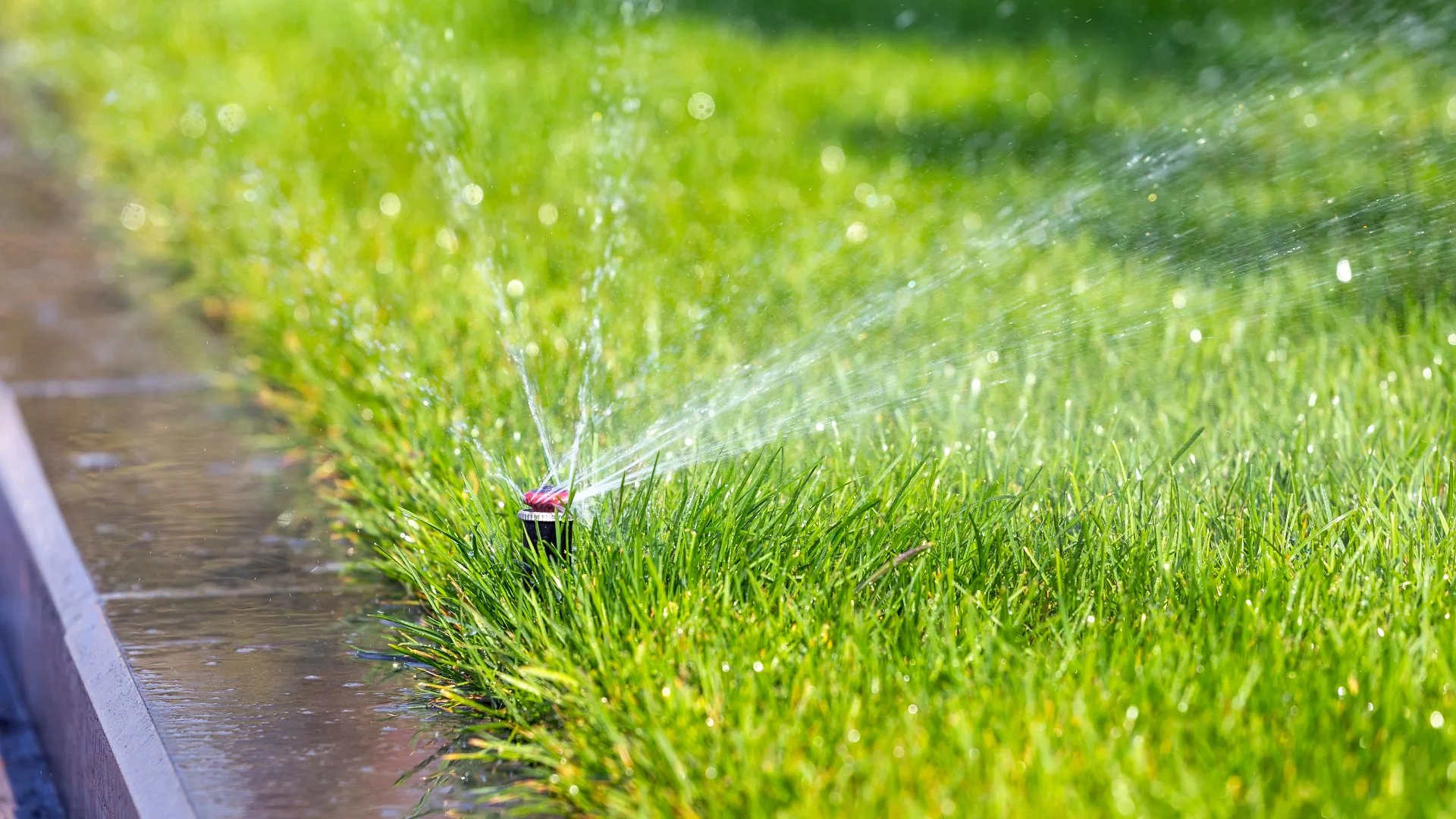 Should You Go With a Smart Controller for Your Irrigation System?