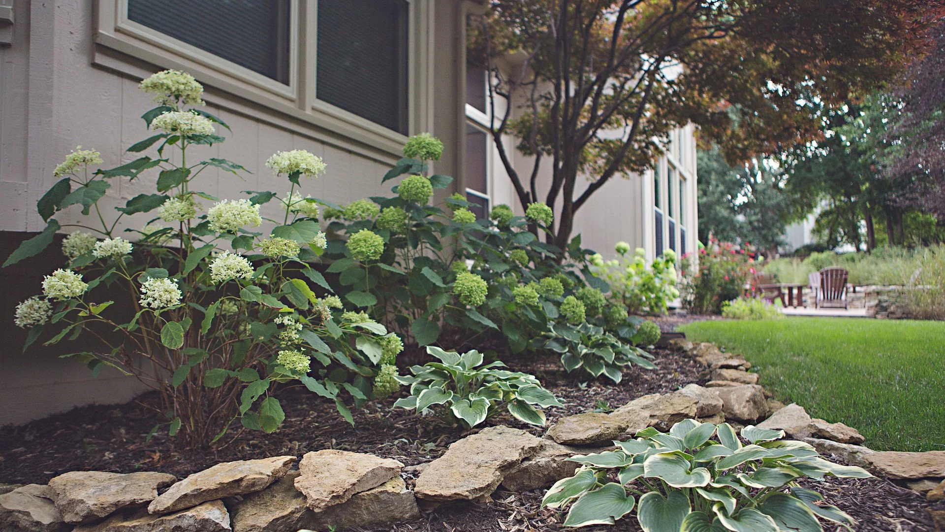 Can Improving Your Landscape Boost Your Property Value?