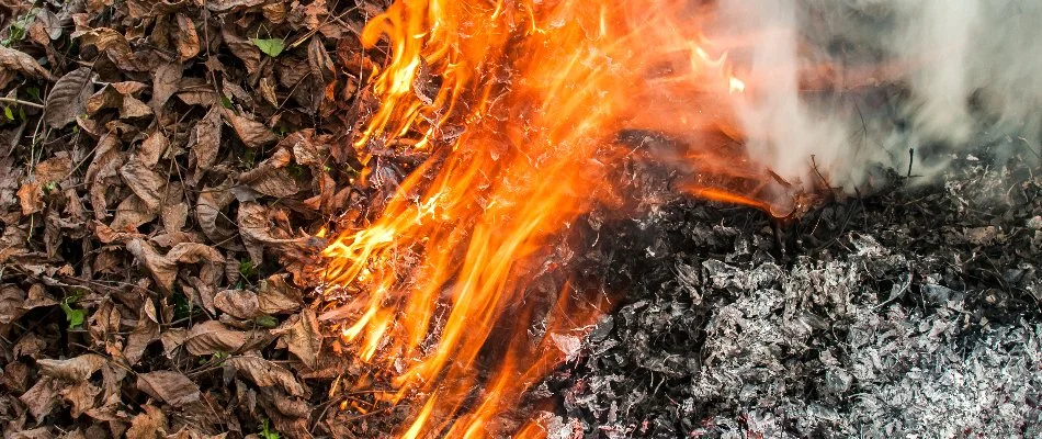 Burning dry leaves in Overland Park, KS.