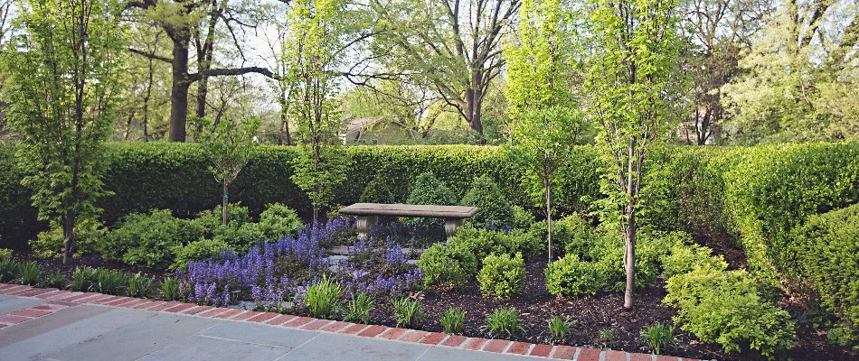 Landscape area in Overland Park, KS, with trees, dense shrubs, and purple flowers.