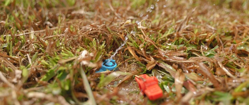 Sprinkler head in Overland Park, KS, with low water pressure.