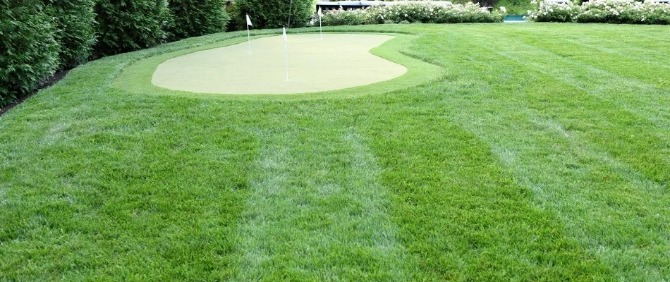 Newly mowed grass near a putting green in Overland Park, KS.