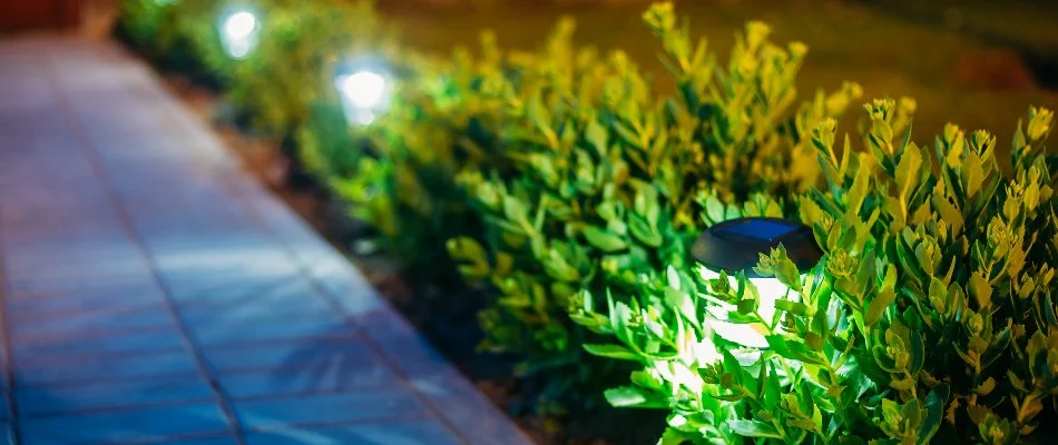 Path lighting in shrubs along a walkway in Overland Park, KS.