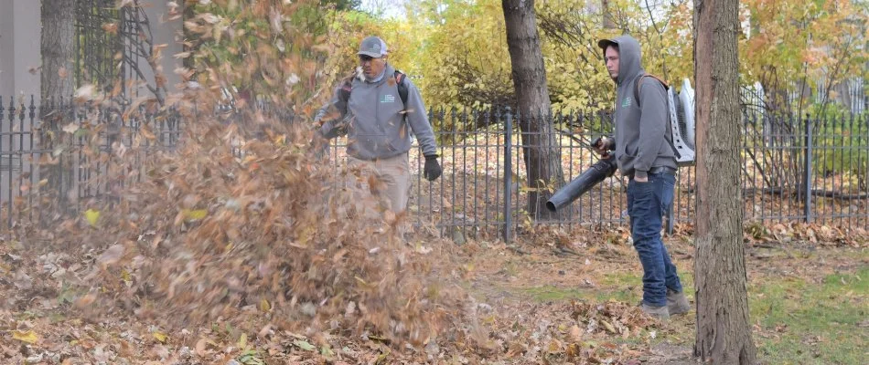 Pros blowing leaves from a yard in Overland Park, KS, into a pile.