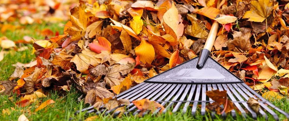 Leaf pile in Overland Park, KS, with a rake.