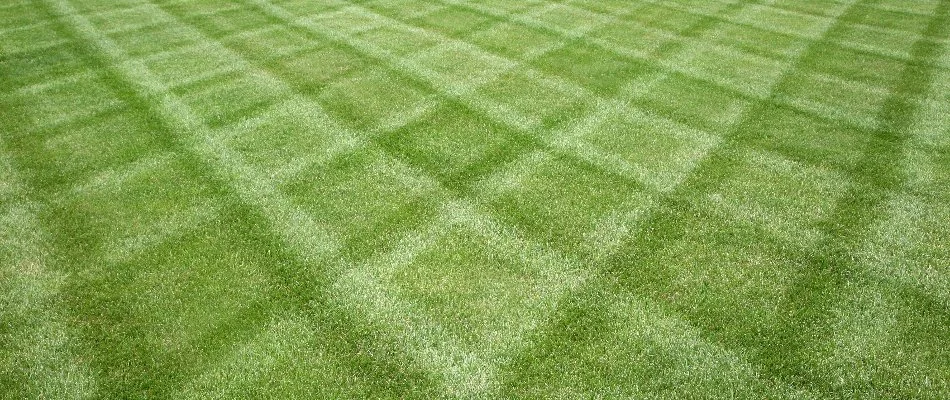 Rotated mowing pattern on lawn in Overland Park, KS.