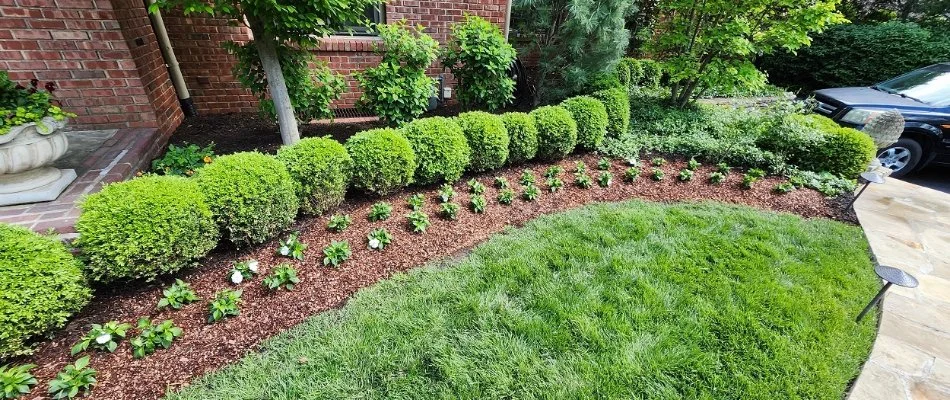 Small, trimmed shrubs, flowers, and grass in Overland Park, KS.