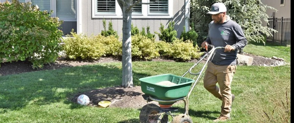 Crew performing lawn renovation.