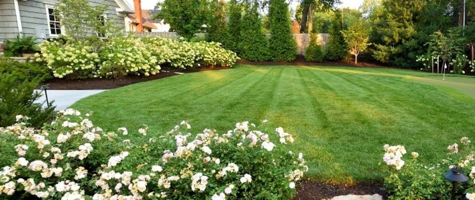 Flowers around a freshly mowed lawn in Raymore, MO.