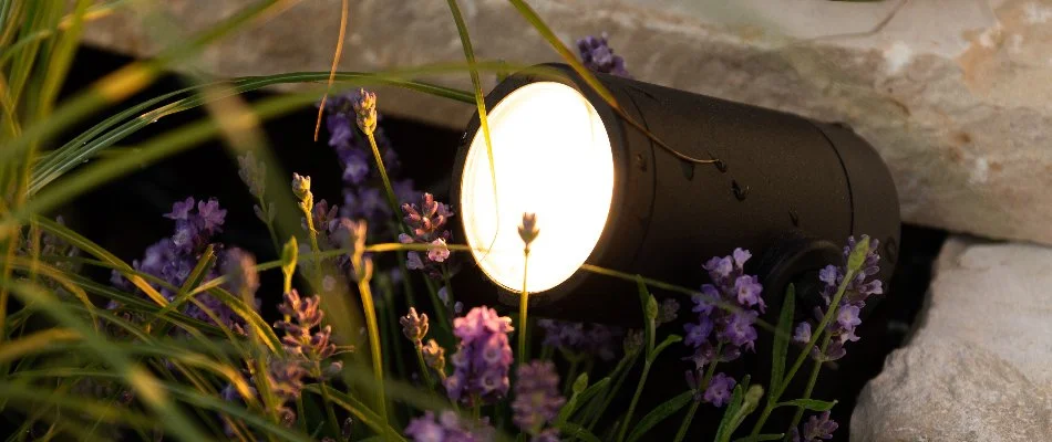 Flowers around an LED light in Overland Park, KS.