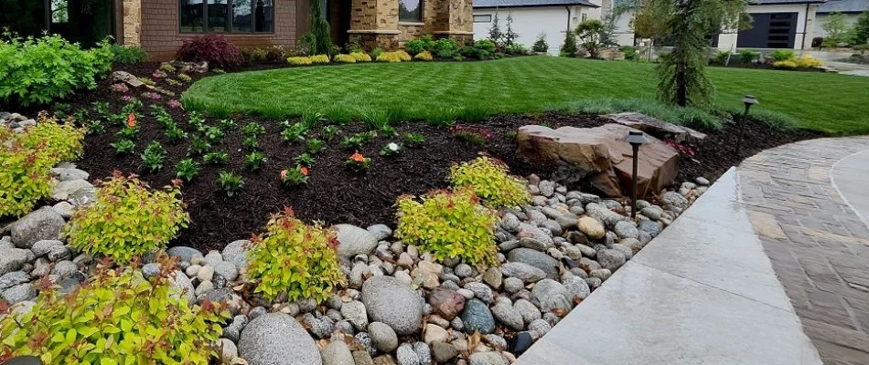 Freshly mowed grass in Lake Quivira, KS, beside a mulched landscape bed with small plants.