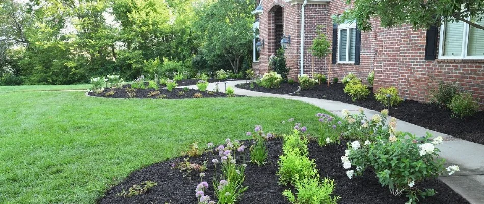 Front yard with green grass and landscape beds in Overland Park, KS.
