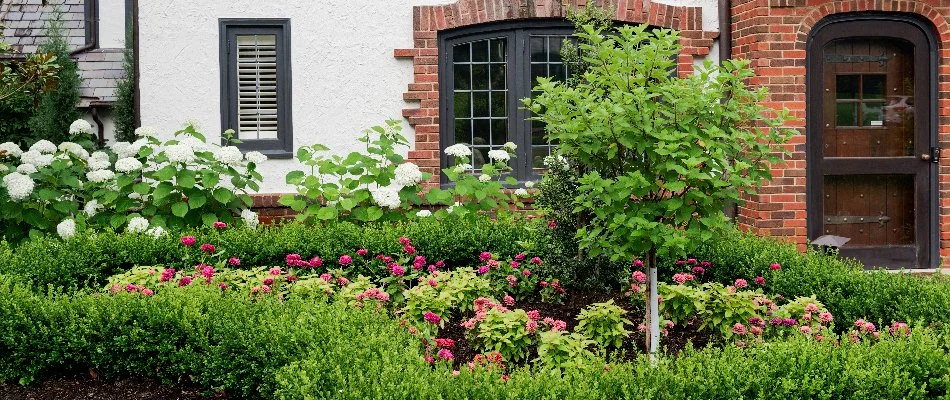 Green plants and vibrant flowers on a landscape in Mission, KS.
