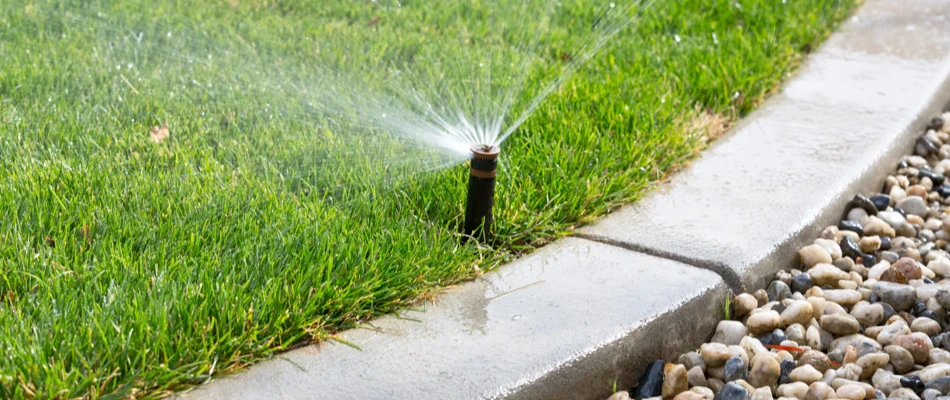 Irrigation sprinkler watering a healthy green lawn.
