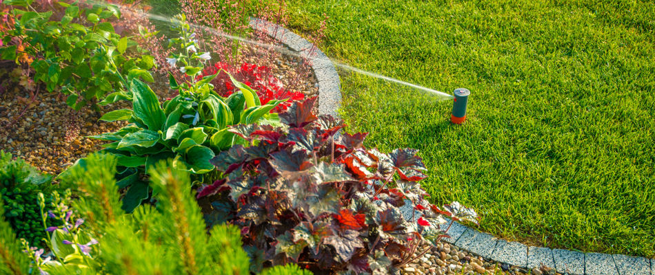 Irrigation sprinkler watering a lawn and landscape bed in the spring near Overland Park, KS.