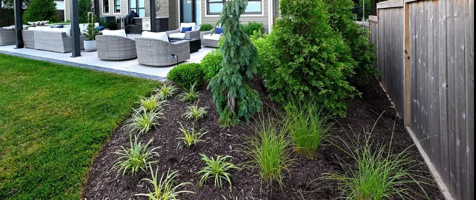 A landscape bed with mulch and green shrubs in Overland Park, KS.