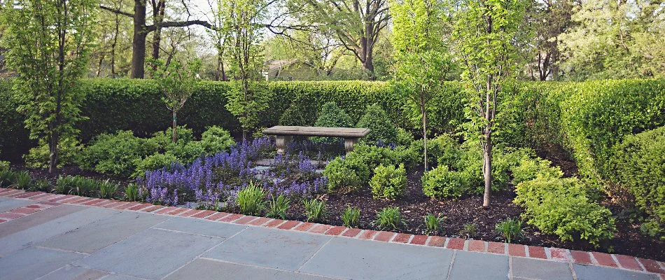 Landscape in Merriam, KS, filled with plants and flowers.