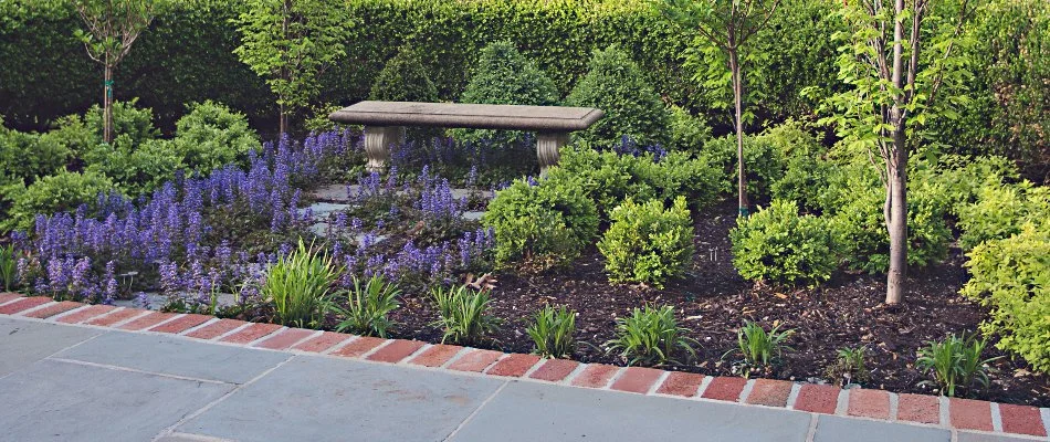 Landscape in Lee's Summit, MO, with fresh mulch, lavender plants, and trimmed shrubs.