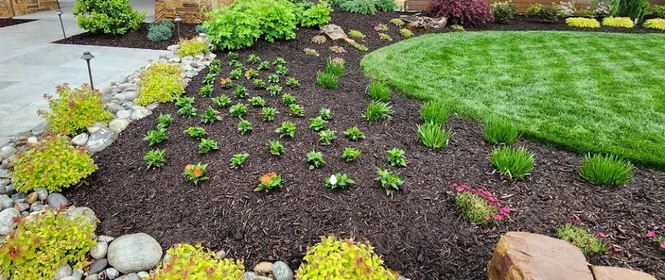 Large landscape bed in Overland Park, KS, with mulch and small plants.