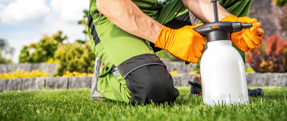 Green lawn with an expert preparing a lawn care solution.