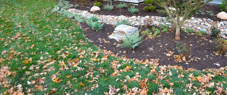 Messy lawn in Overland Park, KS, filled with leaves.