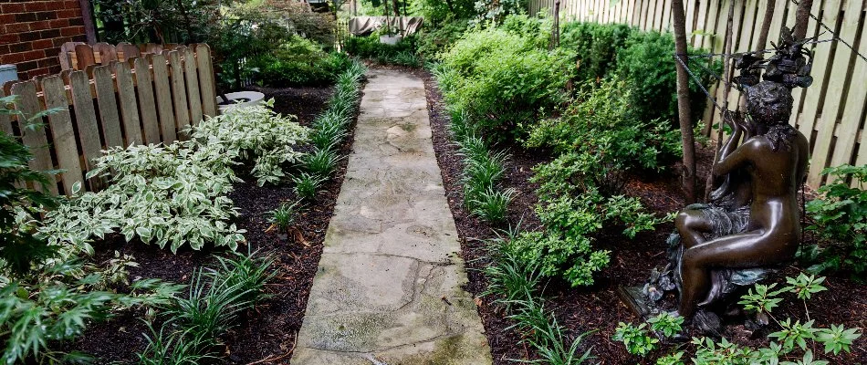 Mulch in landscape beds on each side of walkway in Overland Park, KS.