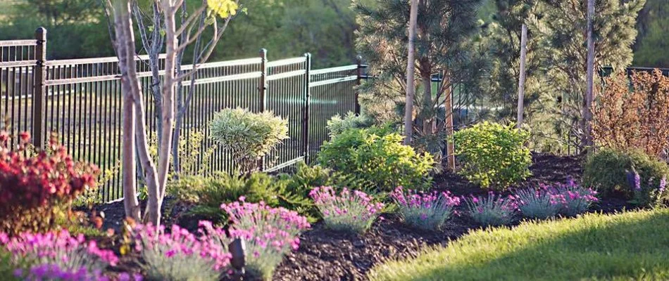 Pink plants in landscape bed on a property in Overland Park, KS.
