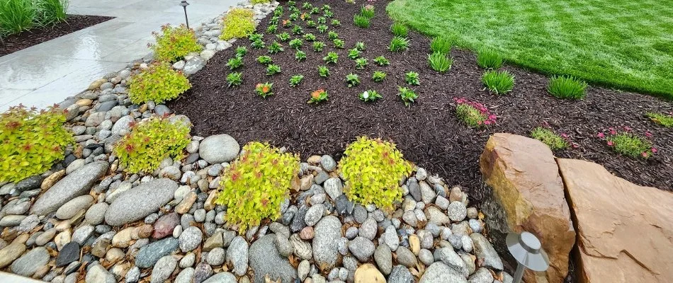 Rocks in a landscape bed with mulch and plants in Overland Park, KS.