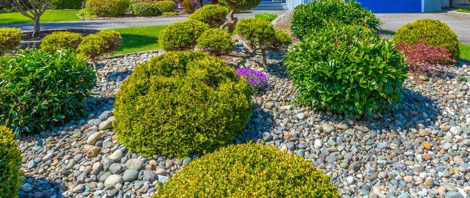 Rocks in landscape bed on a property in Overland Park, KS.