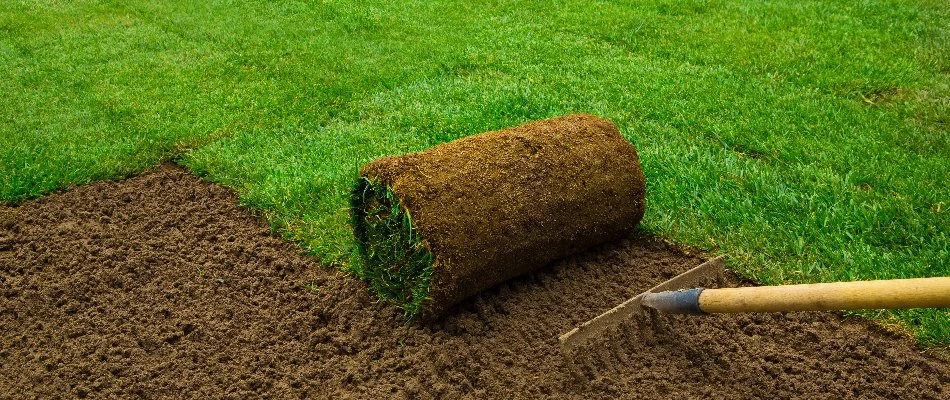 Sod being installed on a property in Overland Park, KS.