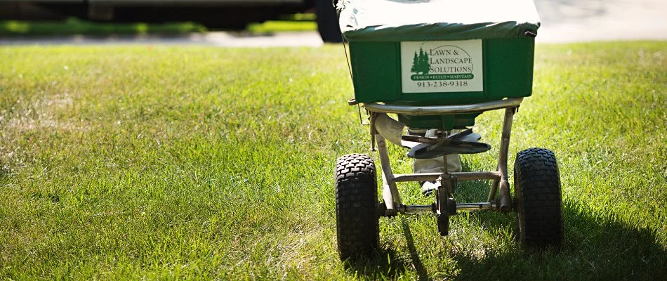 Spreading granular fertilizer over a lawn in Lee's Summit, MO.