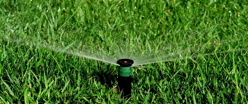 Sprinkler head spraying water on grass in Overland Park, KS.