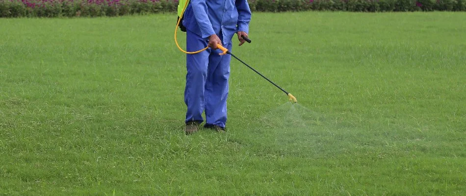 Worker applying post-emergent weed control treatment to a lawn in Overland Park, KS.