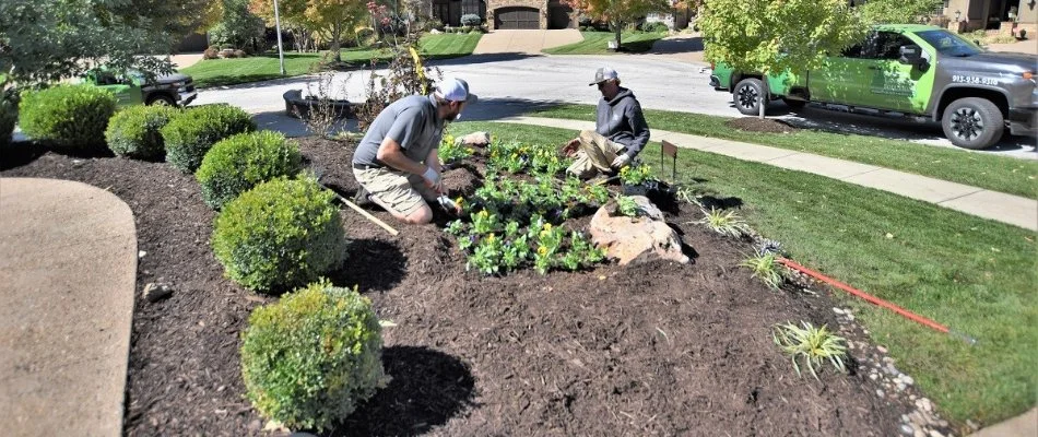 Workers planting flowers in a landscape in Spring Hill, KS.