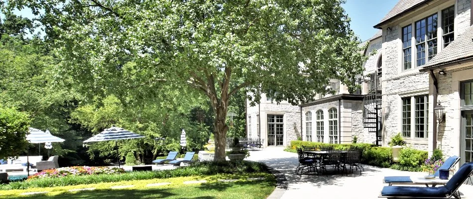 Yard with a large tree in Lake Quivira, KS.